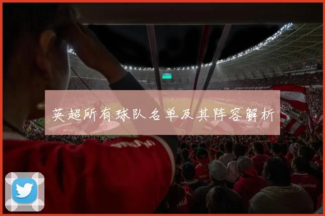 英超所有球队名单及其阵容解析